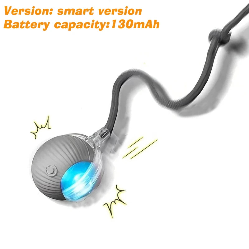 Smart Auto-Rolling Ball Toy for Dogs – USB Rechargeable 2026