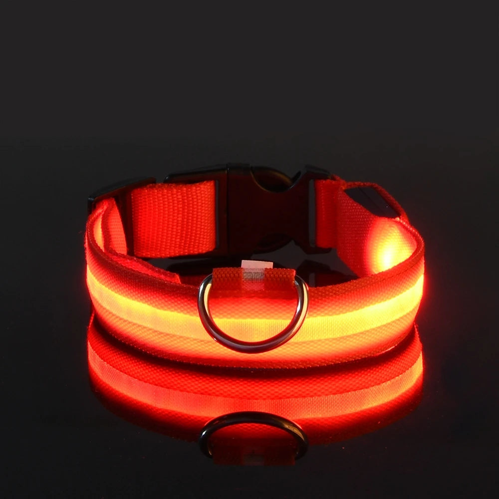 LED Safety Dog Collar – Glow in the Dark & Flashing Light