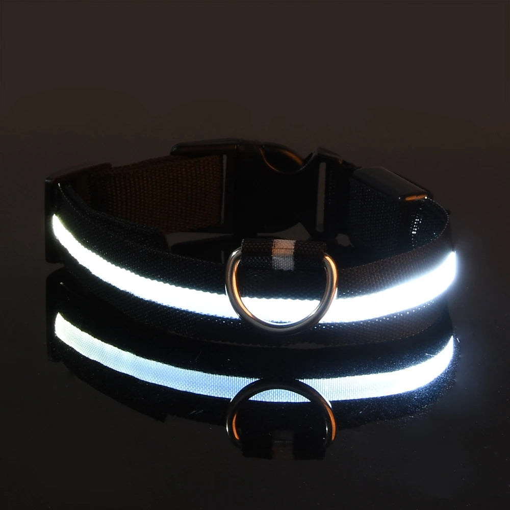 LED Safety Dog Collar – Glow in the Dark & Flashing Light