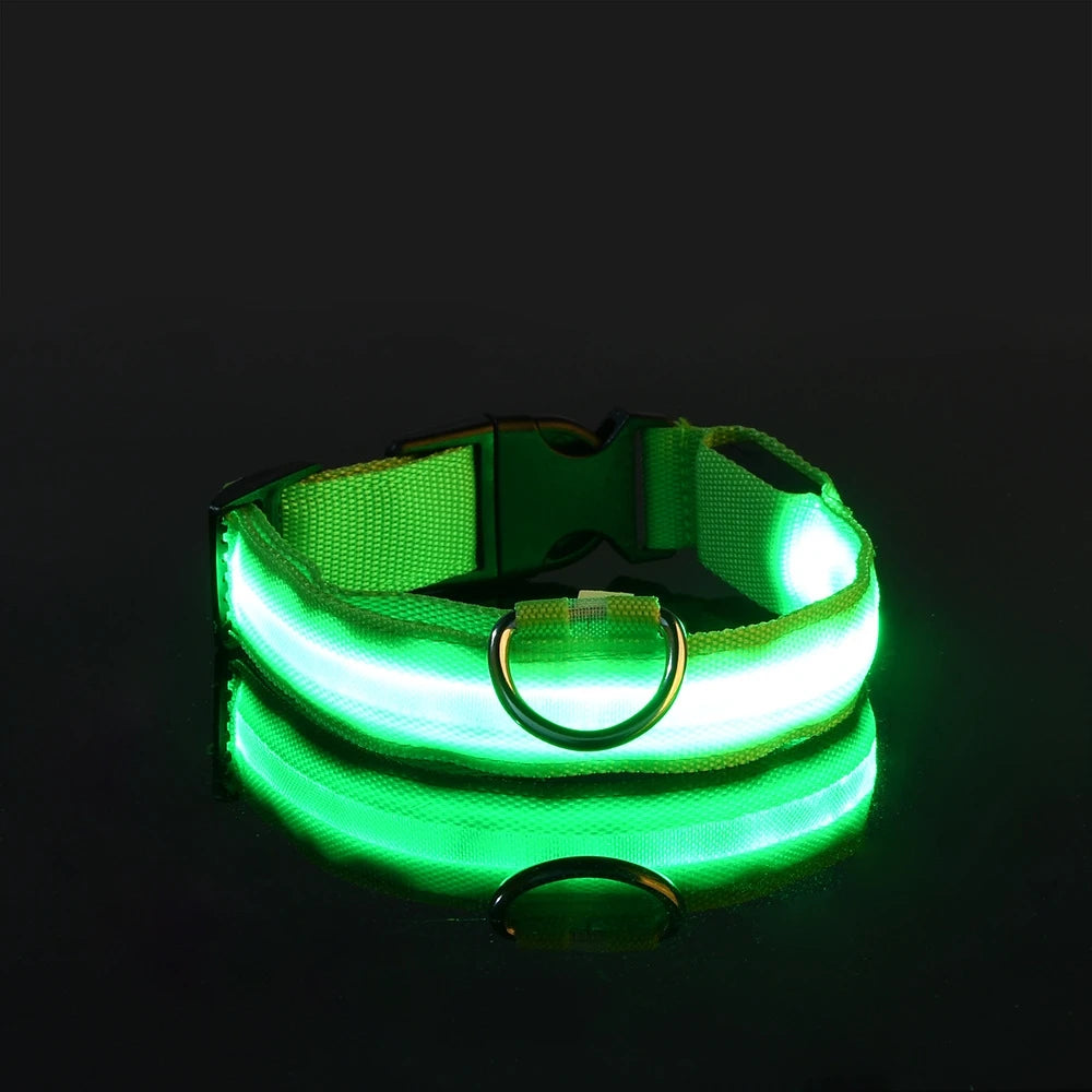 LED Safety Dog Collar – Glow in the Dark & Flashing Light
