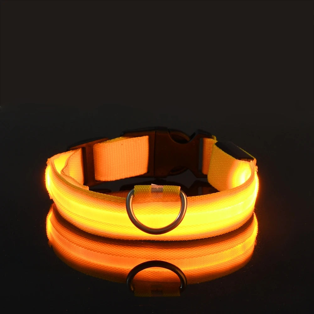 LED Safety Dog Collar – Glow in the Dark & Flashing Light