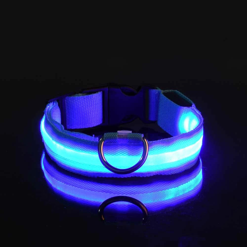 LED Safety Dog Collar – Glow in the Dark & Flashing Light