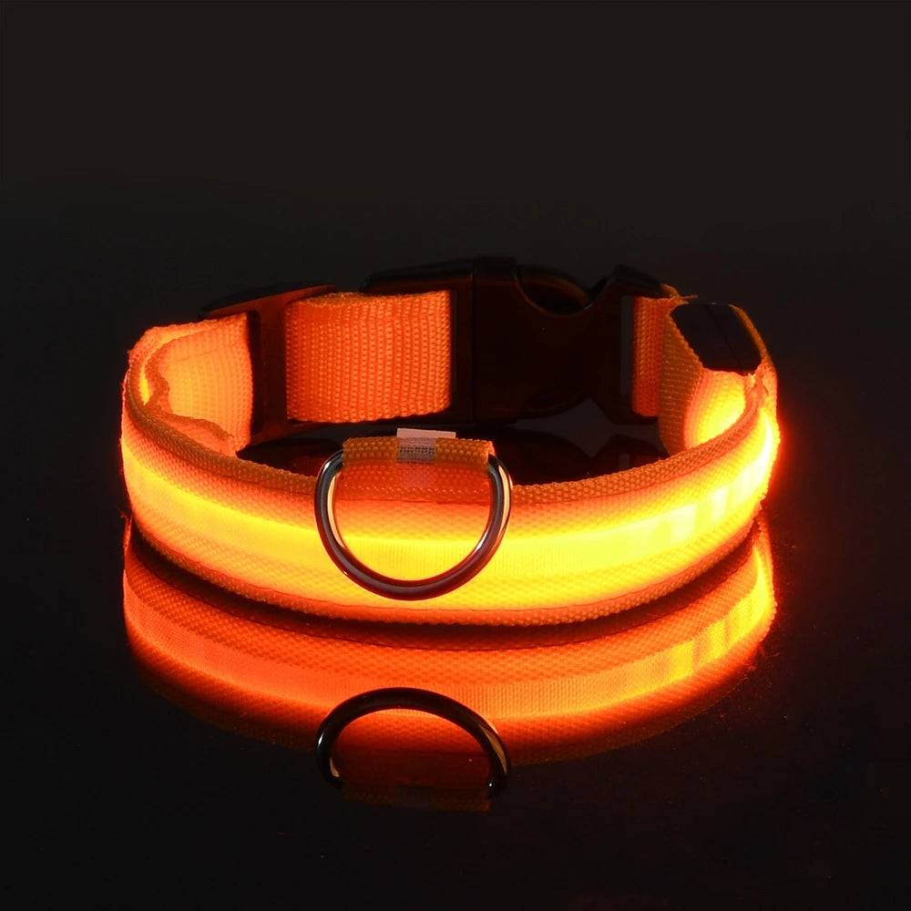 LED Safety Dog Collar – Glow in the Dark & Flashing Light