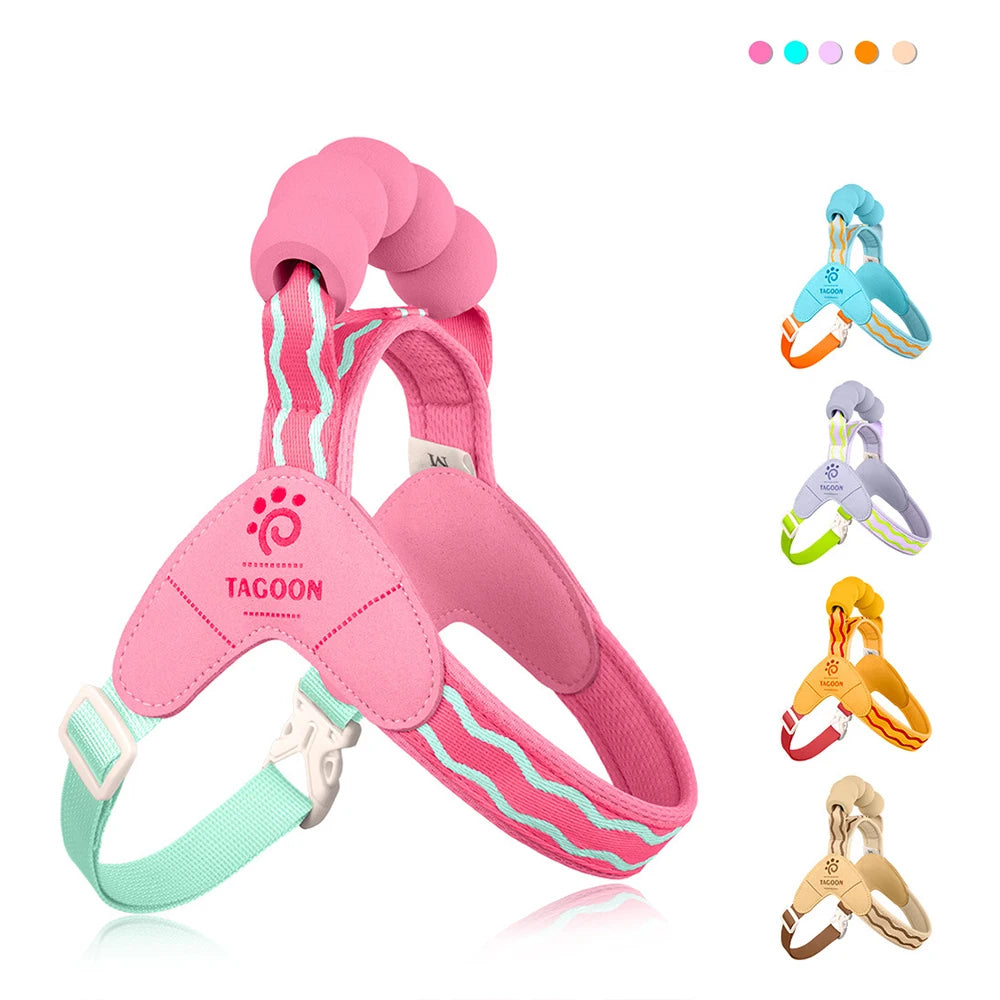 Y-Style Dog Harness & Leash Set
