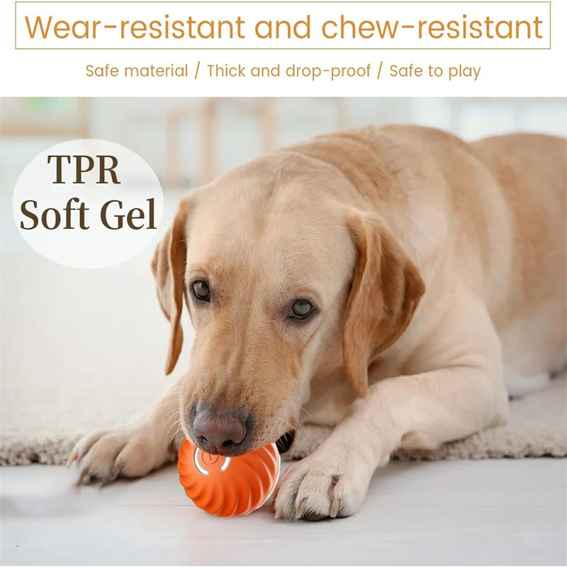 Smart Jump Ball – USB Rechargeable Dog & Cat Toy