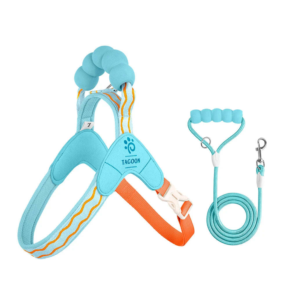 Y-Style Dog Harness & Leash Set