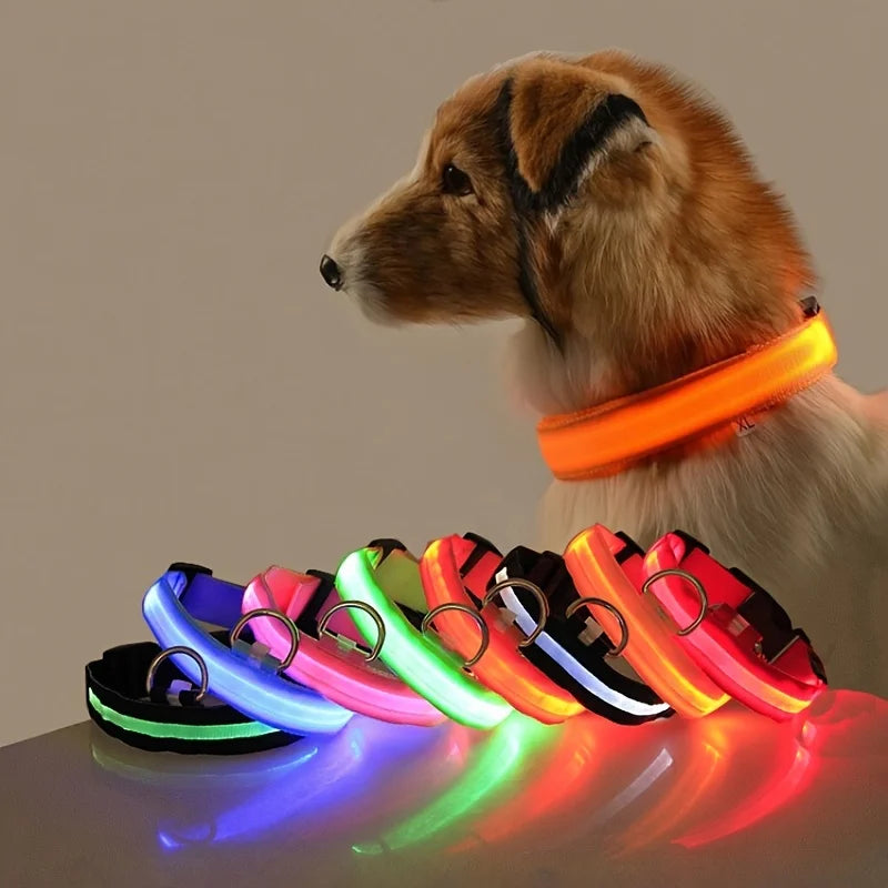 LED Safety Dog Collar – Glow in the Dark & Flashing Light