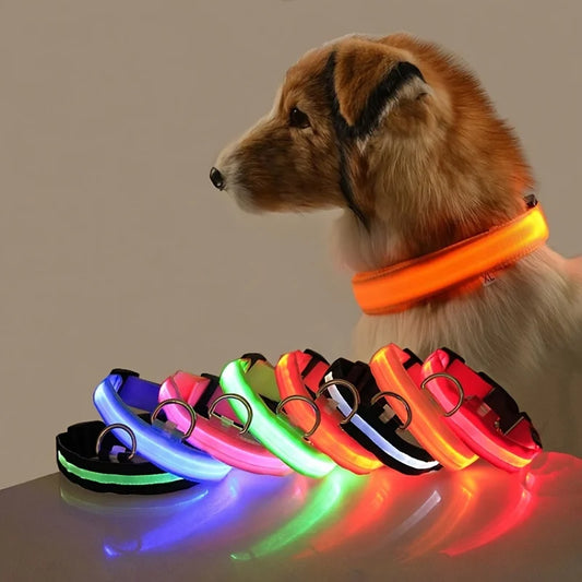 LED Safety Dog Collar – Glow in the Dark & Flashing Light
