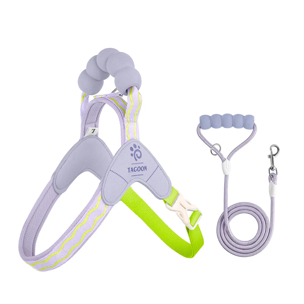 Y-Style Dog Harness & Leash Set