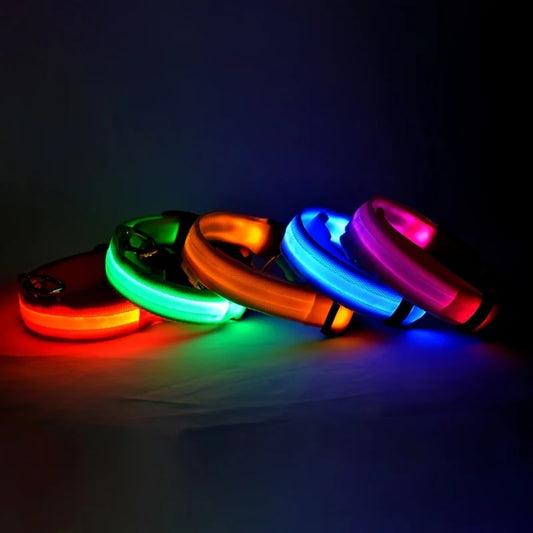 LED Safety Dog Collar – Glow in the Dark & Flashing Light