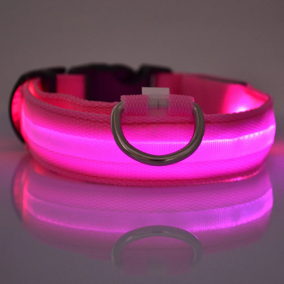 LED Safety Dog Collar – Glow in the Dark & Flashing Light