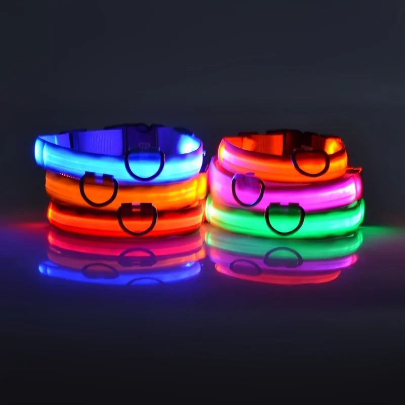 LED Safety Dog Collar – Glow in the Dark & Flashing Light