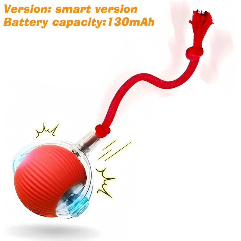 Smart Auto-Rolling Ball Toy for Dogs – USB Rechargeable 2026