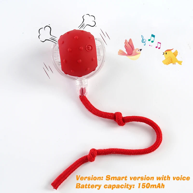 Smart Auto-Rolling Ball Toy for Dogs – USB Rechargeable 2026