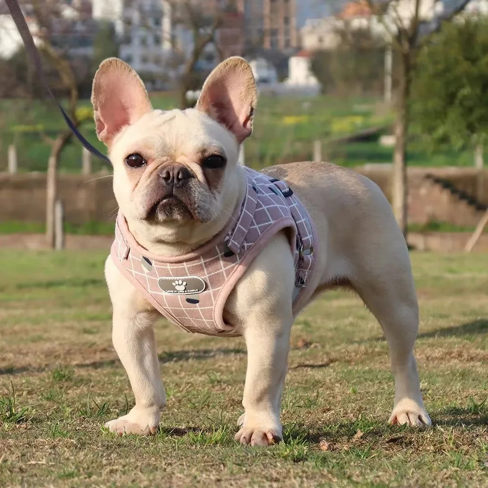 Reflective Dog Harness & Leash Set