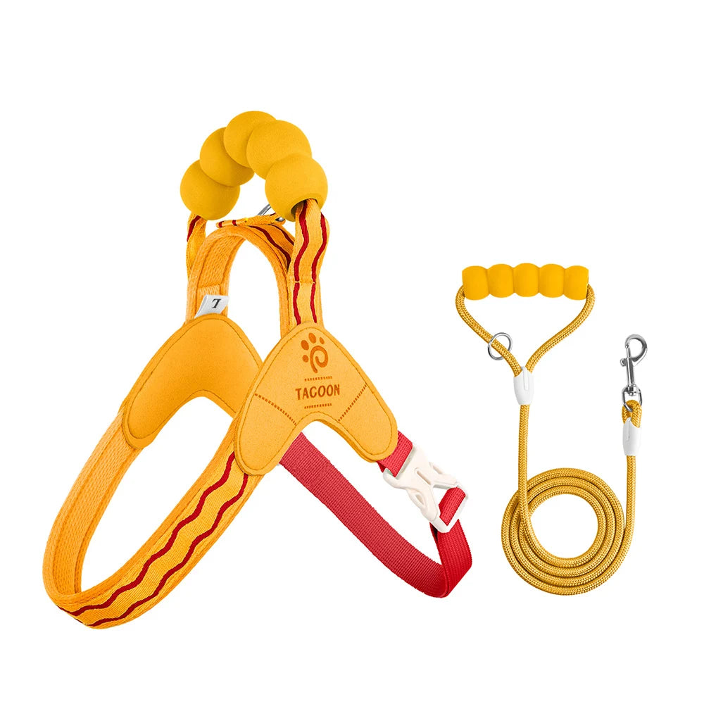 Y-Style Dog Harness & Leash Set