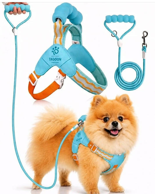Y-Style Dog Harness & Leash Set