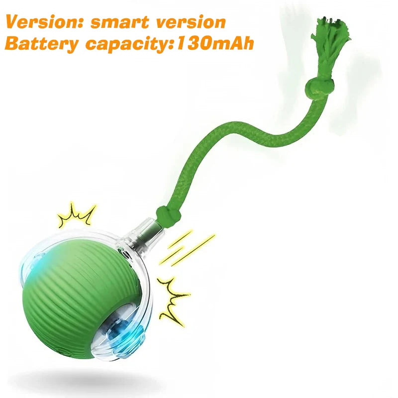 Smart Auto-Rolling Ball Toy for Dogs – USB Rechargeable 2026