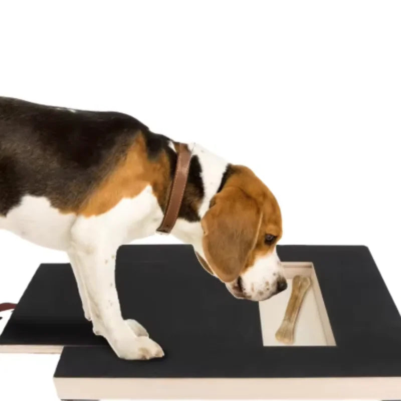 Wooden Dog Scratching Board with Treat Box & Nail Trimmer – 3-in-1 Interactive Toy