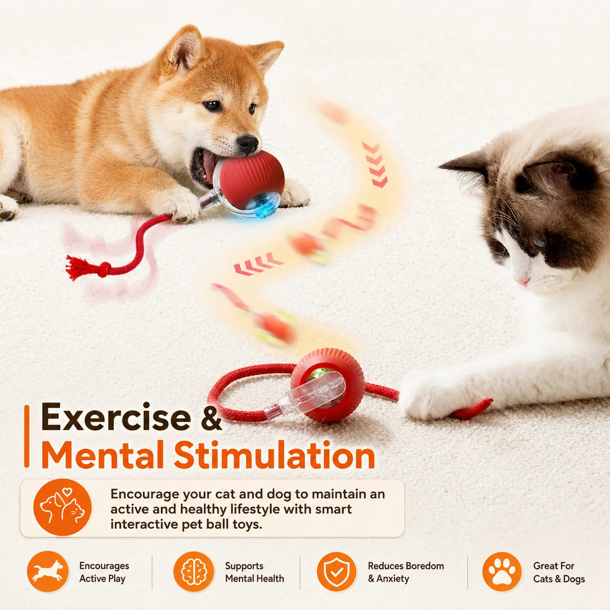 Smart Auto-Rolling Ball Toy for Dogs – USB Rechargeable 2026