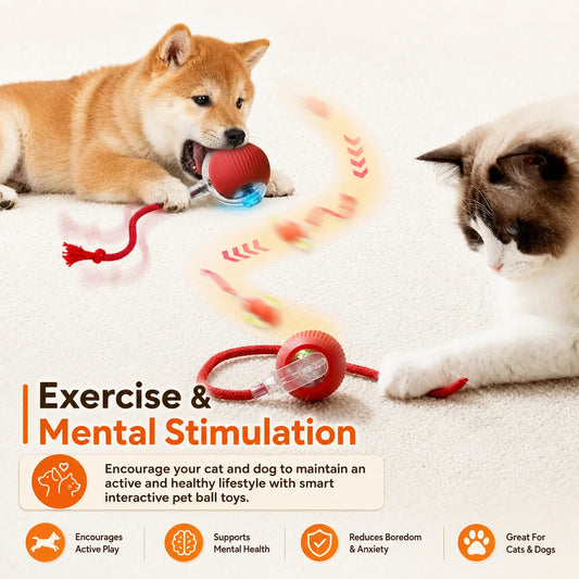 Smart Auto-Rolling Ball Toy for Dogs – USB Rechargeable 2026