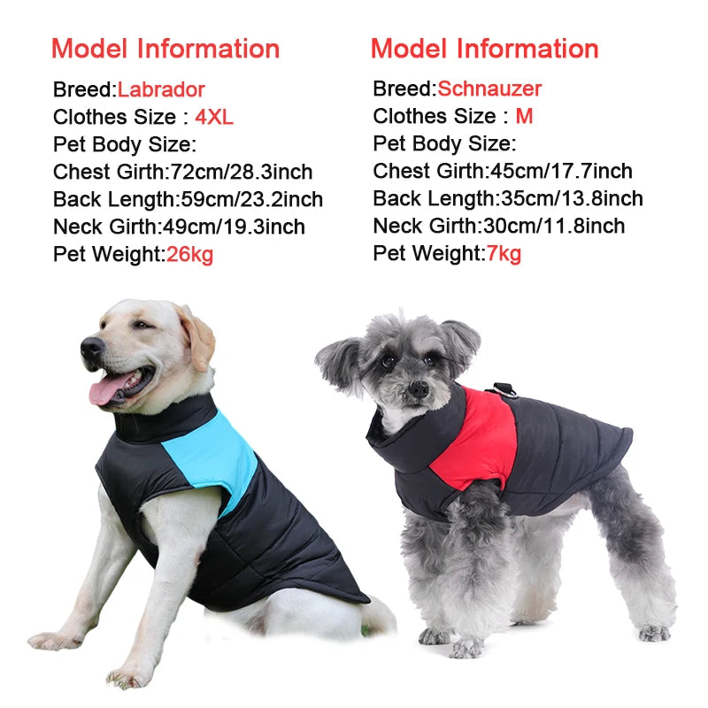 Winter Dog Jacket – Warm Waterproof Coat for Small, Medium & Large Dogs